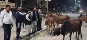 VID-20251231-WA0080.mp4_snapshot_00.01_[2025.12.31_10.02.46]