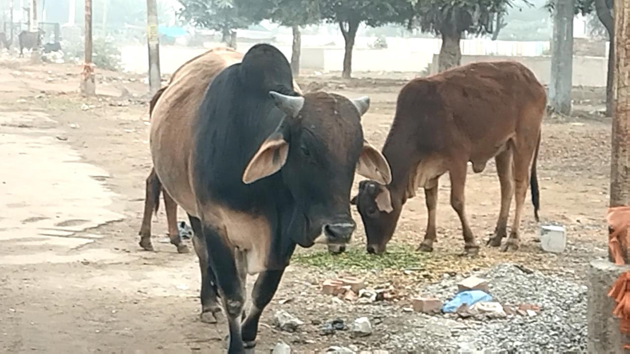 MOV_5026.MP4_snapshot_00.00_[2026.01.02_07.06.09]