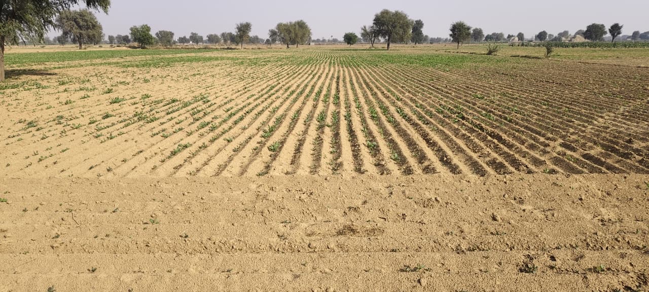 WhatsApp Image 2026-01-24 at 6.23.23 AM