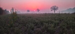 WhatsApp Image 2026-01-25 at 05.38.20