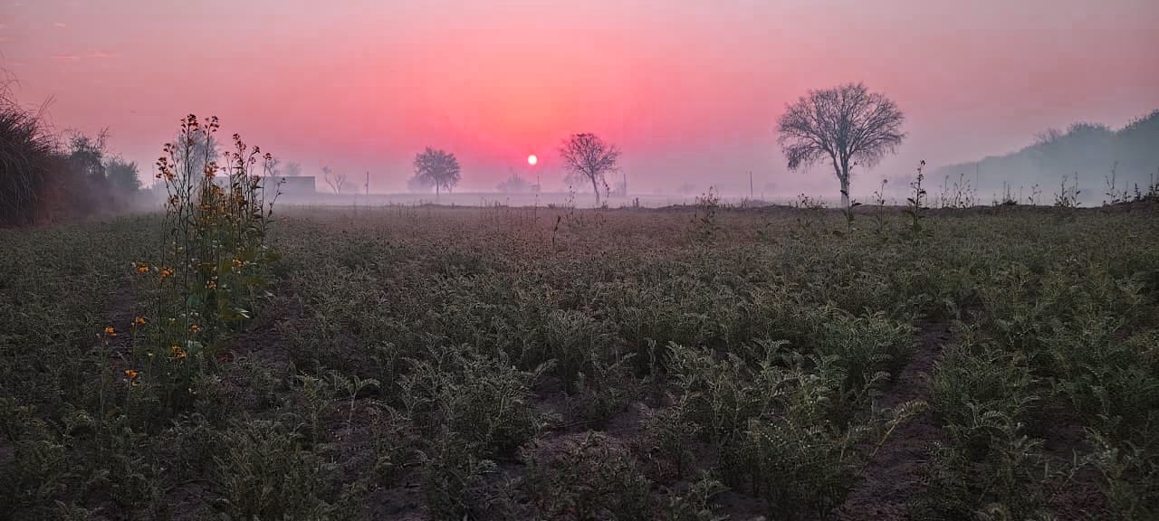 WhatsApp Image 2026-01-25 at 05.38.20