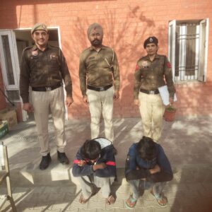 WhatsApp Image 2026-02-12 at 03.23.14