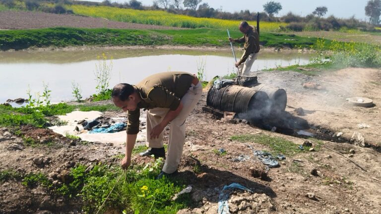 WhatsApp Image 2026-02-14 at 05.15.21