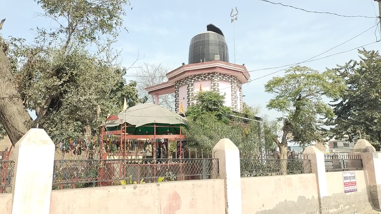 WhatsApp Image 2026-02-14 at 05.15.41