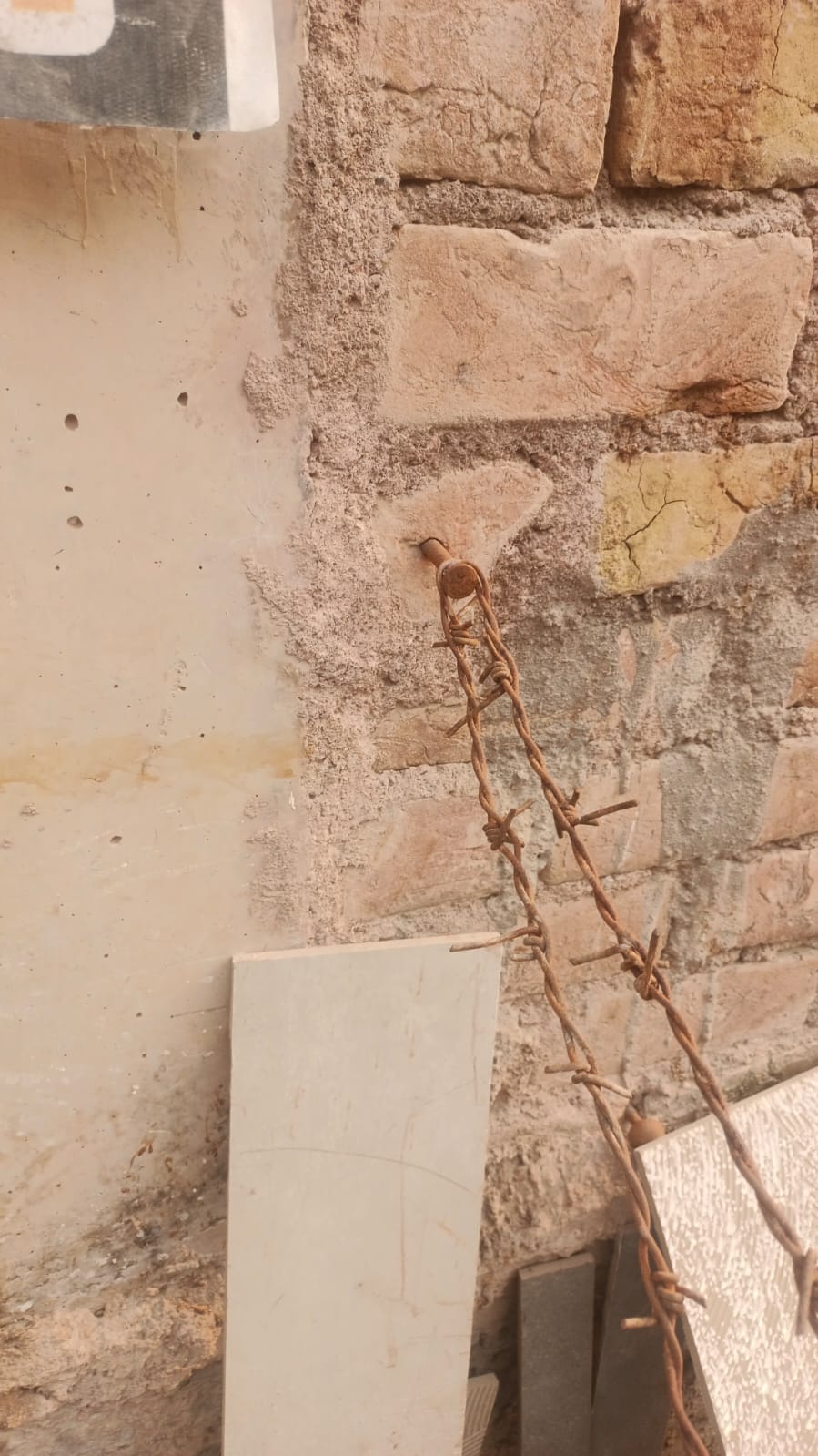 WhatsApp Image 2026-02-18 at 02.26.08 (1)