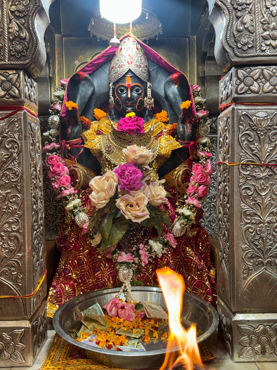 WhatsApp Image 2026-02-19 at 05.11.43