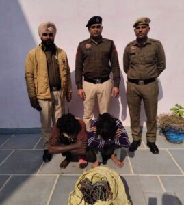 WhatsApp Image 2026-02-20 at 01.34.32