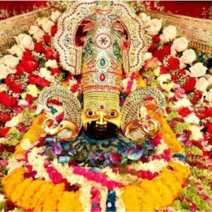 WhatsApp Image 2026-02-20 at 18.14.32