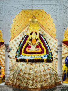 WhatsApp Image 2026-02-23 at 04.56.31