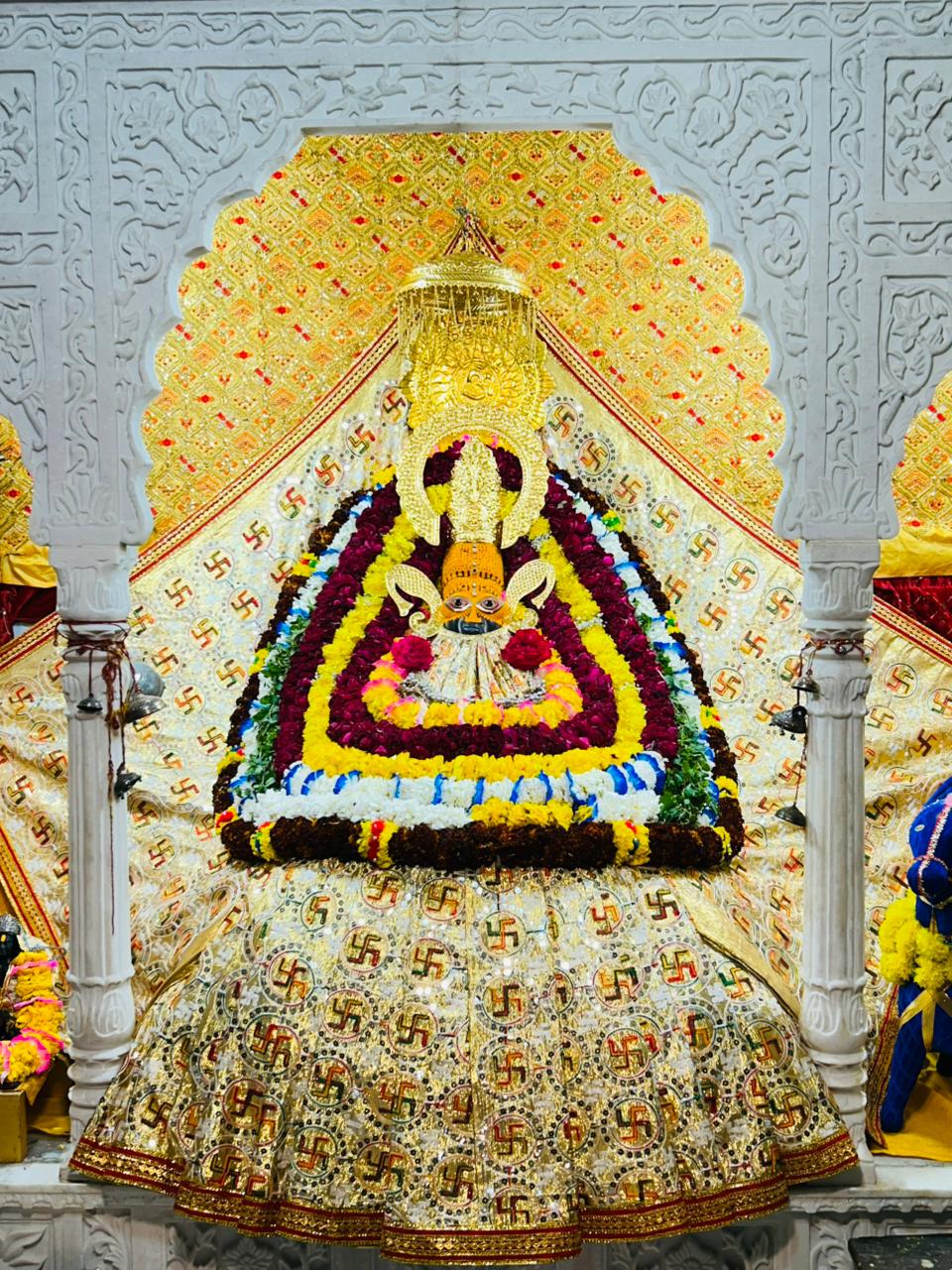 WhatsApp Image 2026-02-23 at 04.56.31