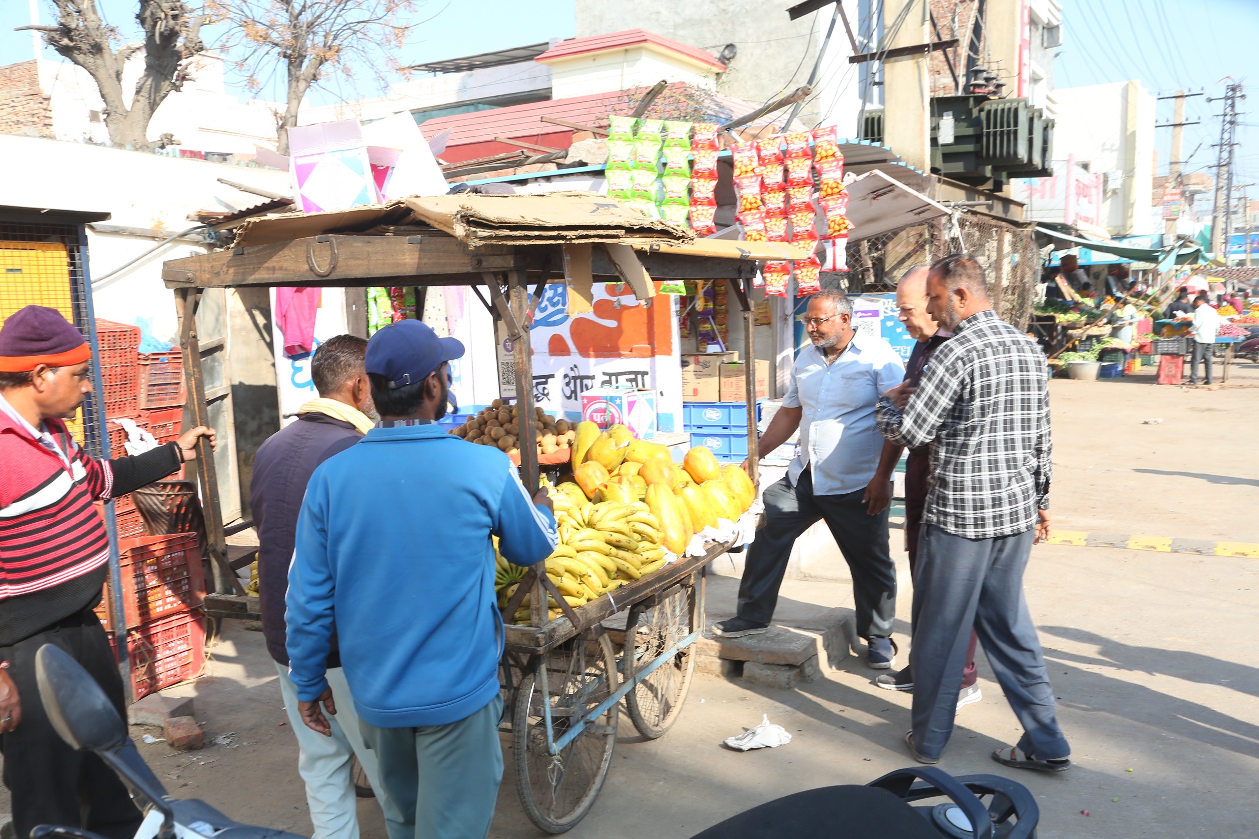 WhatsApp Image 2026-02-25 at 08.09.27