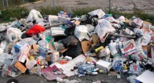 WhatsApp Image 2026-03-11 at 15.37.55