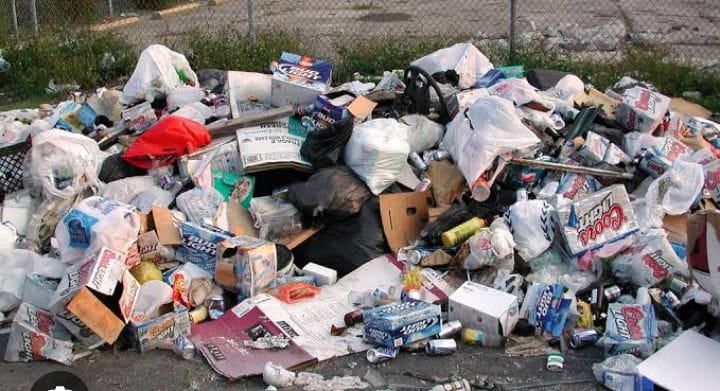 WhatsApp Image 2026-03-11 at 15.37.55