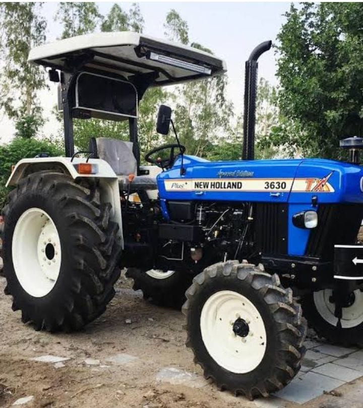 WhatsApp Image 2026-03-12 at 17.20.56