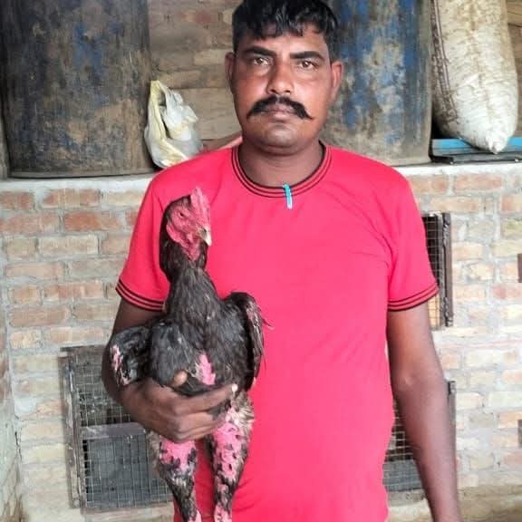 WhatsApp Image 2026-03-12 at 21.03.42