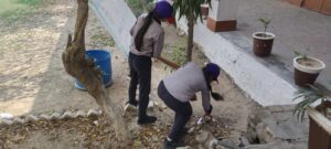 WhatsApp Image 2026-03-15 at 14.22.55 (1)