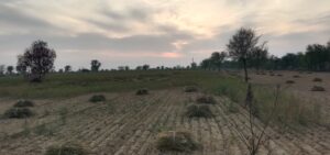 WhatsApp Image 2026-03-15 at 18.27.57 (2)