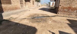 WhatsApp Image 2026-03-15 at 19.02.52