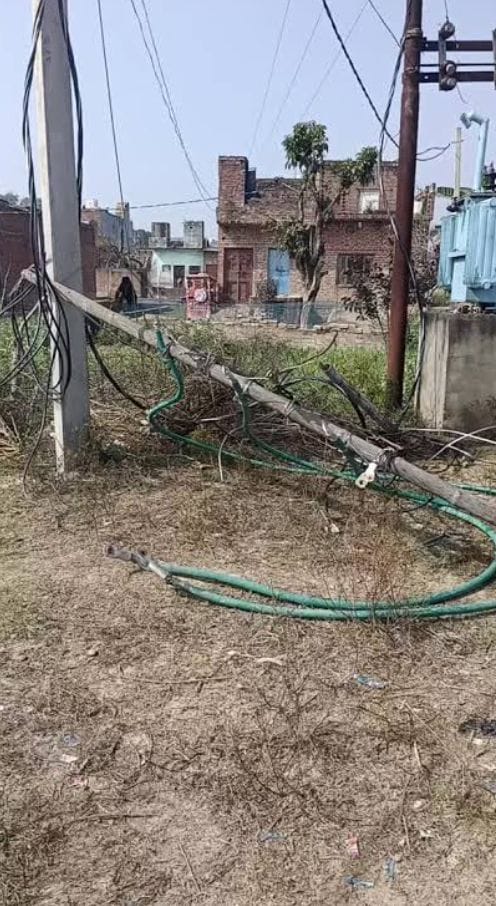 WhatsApp Image 2026-03-16 at 15.19.32