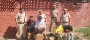 WhatsApp Image 2026-03-17 at 15.05.52