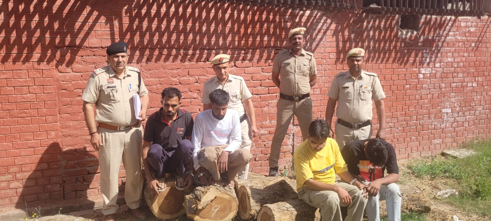 WhatsApp Image 2026-03-17 at 15.05.52