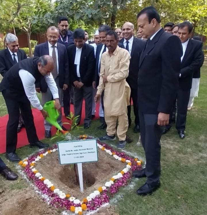 WhatsApp Image 2026-03-18 at 14.25.50