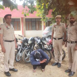 WhatsApp Image 2026-03-19 at 18.17.30