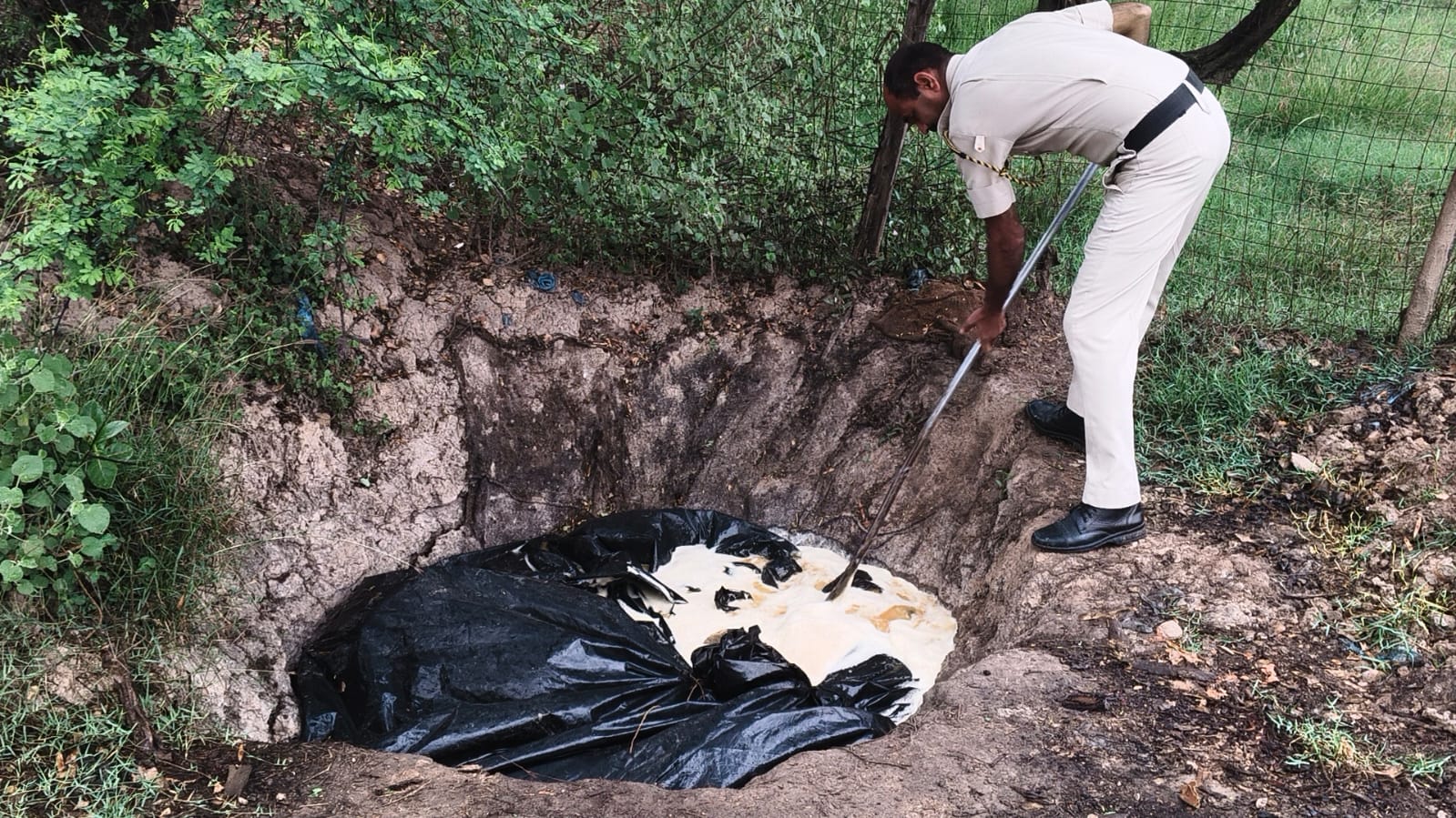 WhatsApp Image 2026-03-19 at 20.07.38 (1)