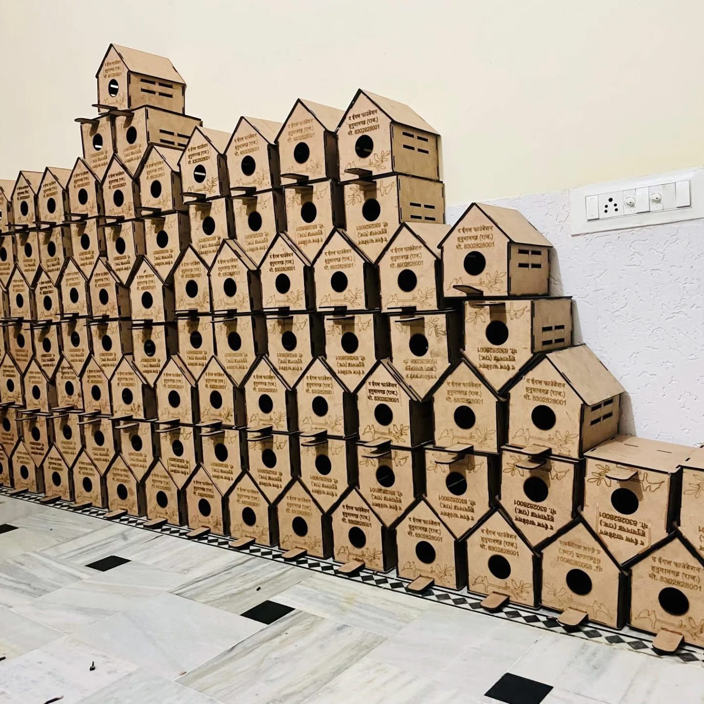 WhatsApp Image 2026-03-25 at 19.16.12