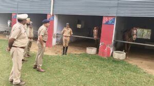 WhatsApp Image 2026-03-30 at 19.07.42