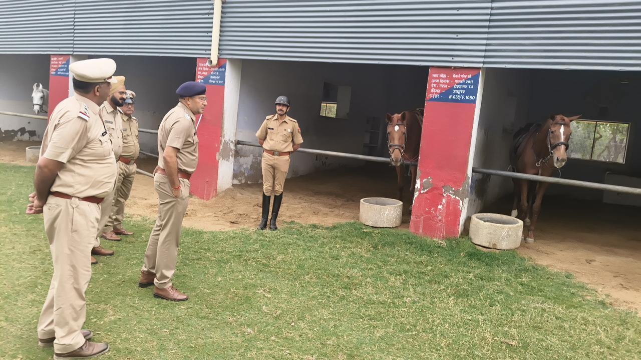 WhatsApp Image 2026-03-30 at 19.07.42