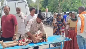 1001450911_1775715260