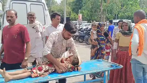 1001450911_1775715260