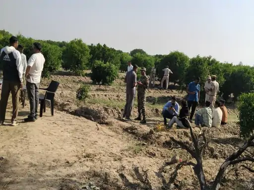 1001551638_1775373416