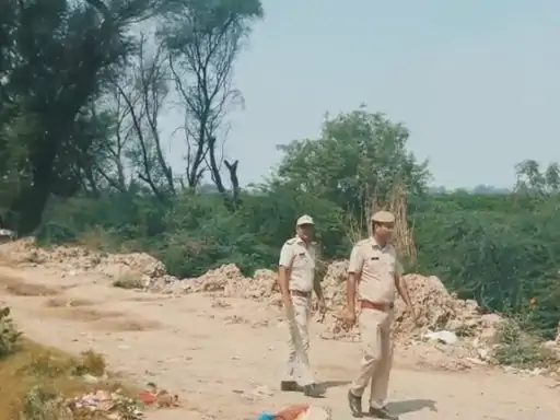 1001558994_1775470775