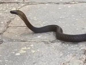 8184c7f4-e029-49bd-9e2d-10780e715750_1775293963586