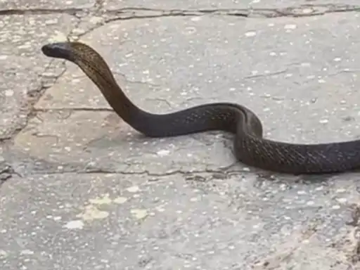 8184c7f4-e029-49bd-9e2d-10780e715750_1775293963586