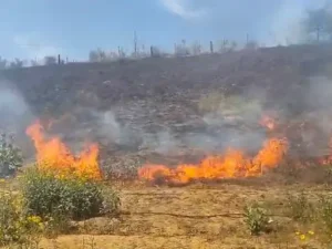 8c047a49-b3f9-43fa-9106-a3a1615808f2_1776088798476