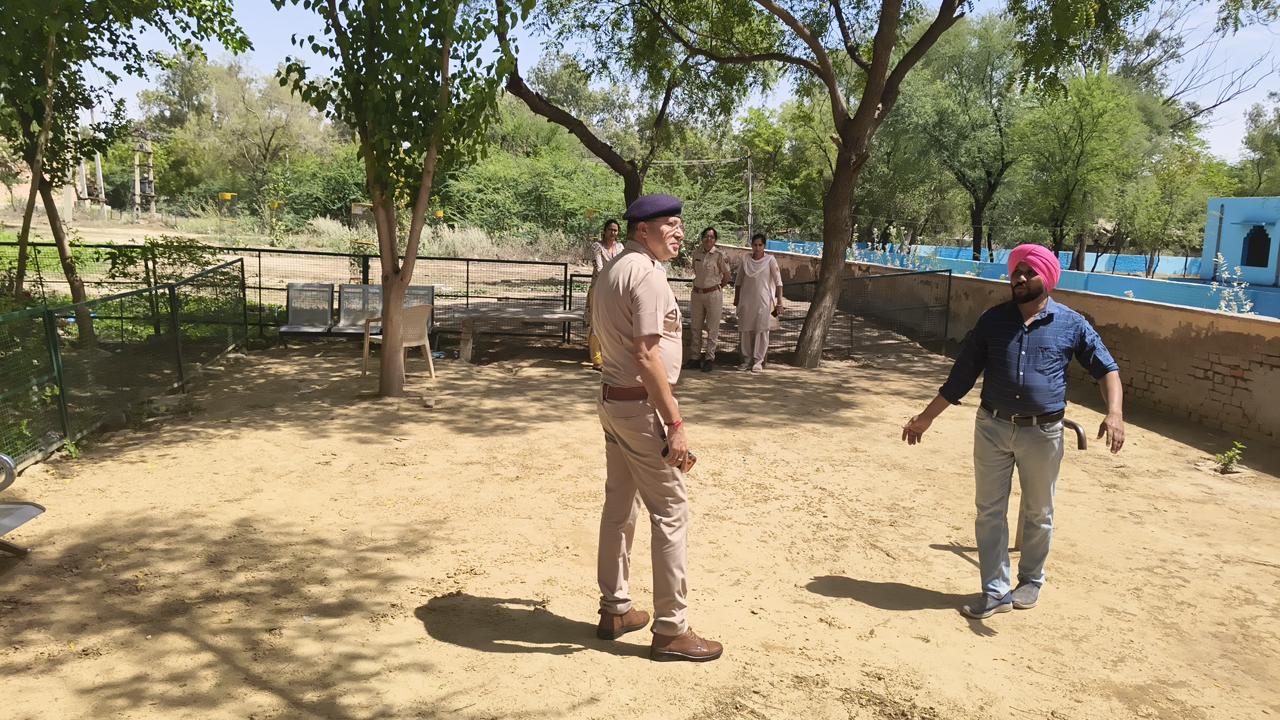 WhatsApp Image 2026-04-03 at 18.31.00