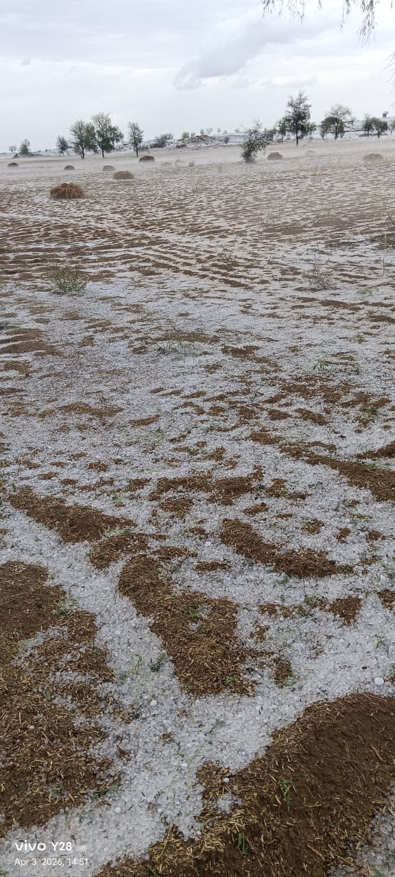 WhatsApp Image 2026-04-03 at 22.00.16