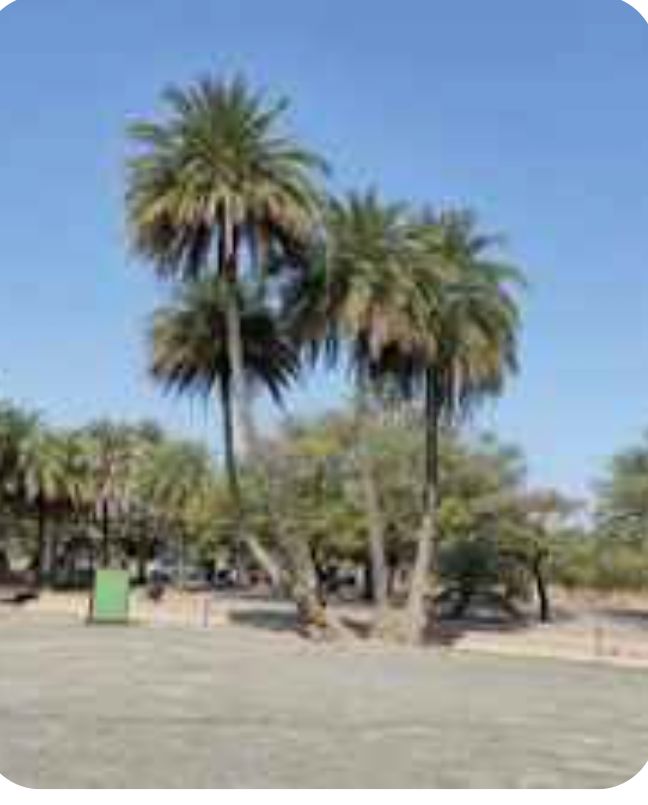 WhatsApp Image 2026-04-06 at 13.58.07