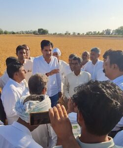 WhatsApp Image 2026-04-08 at 20.02.52