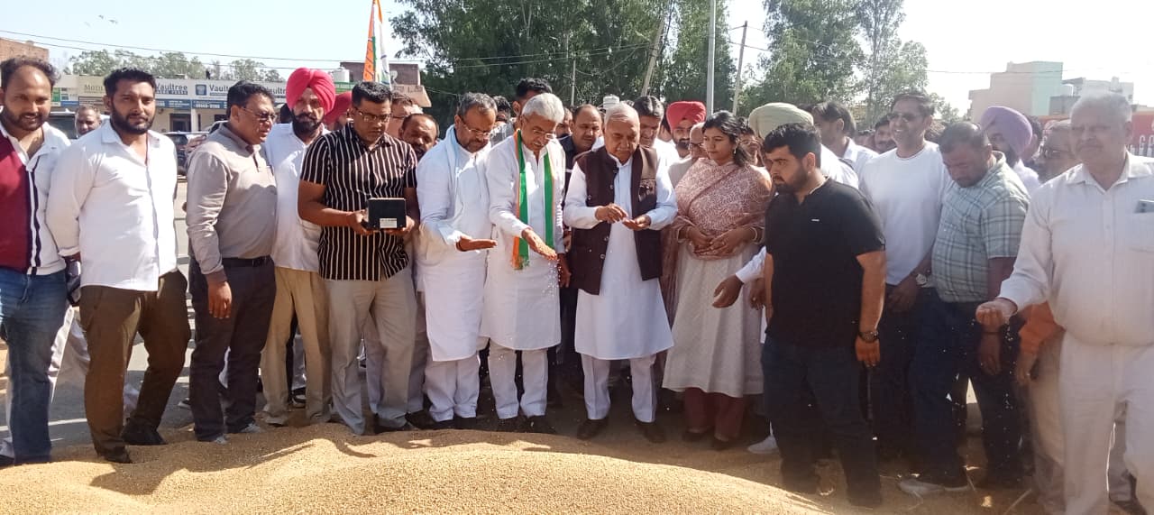 WhatsApp Image 2026-04-09 at 18.27.09