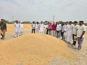 WhatsApp Image 2026-04-11 at 20.22.14