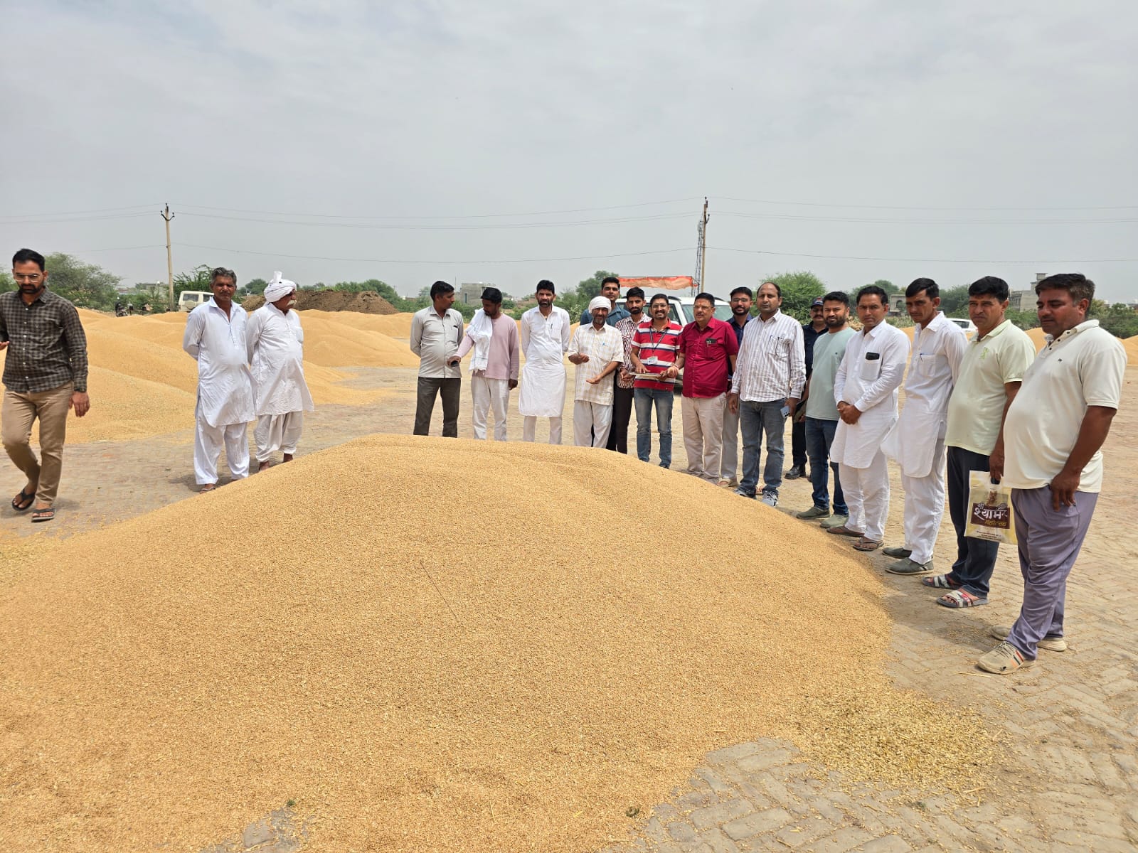 WhatsApp Image 2026-04-11 at 20.22.14