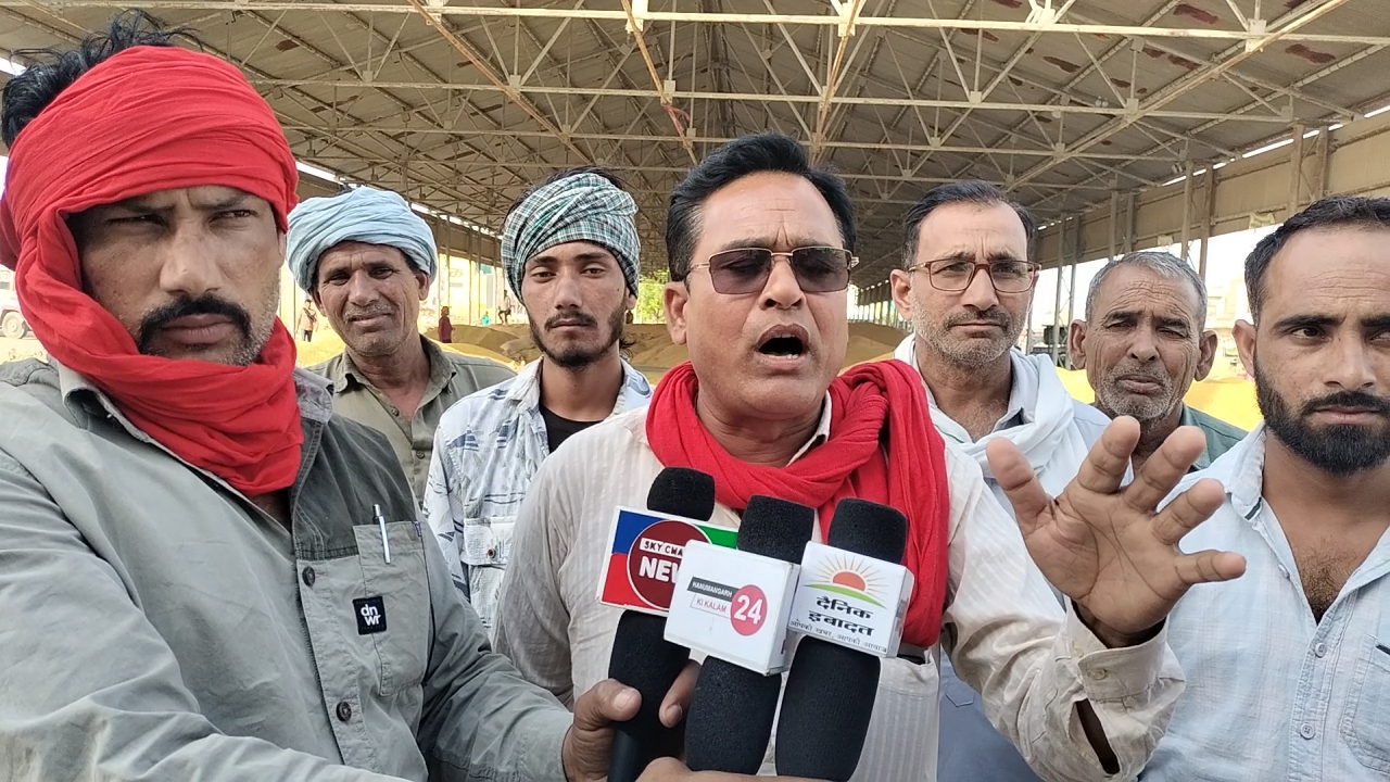 WhatsApp Image 2026-04-11 at 21.18.25