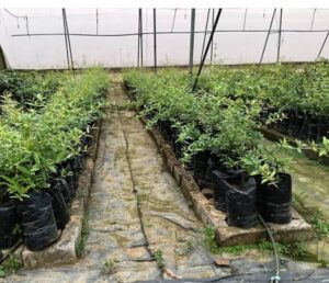 WhatsApp Image 2026-04-12 at 17.23.47