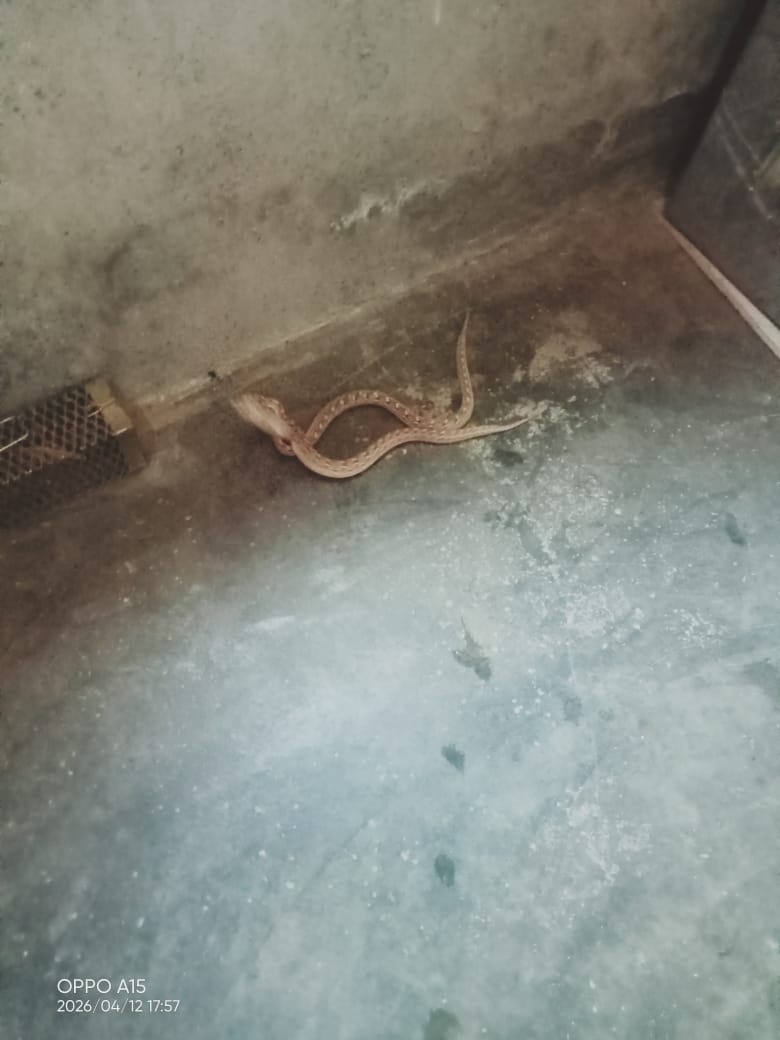 WhatsApp Image 2026-04-12 at 20.04.22