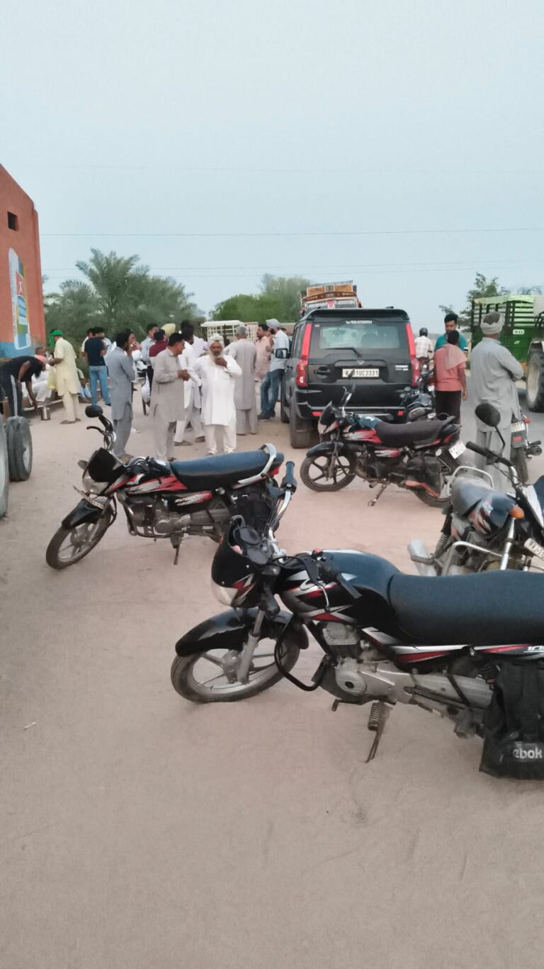 WhatsApp Image 2026-04-15 at 19.08.41