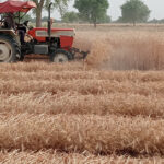 WhatsApp Image 2026-04-15 at 20.07.58